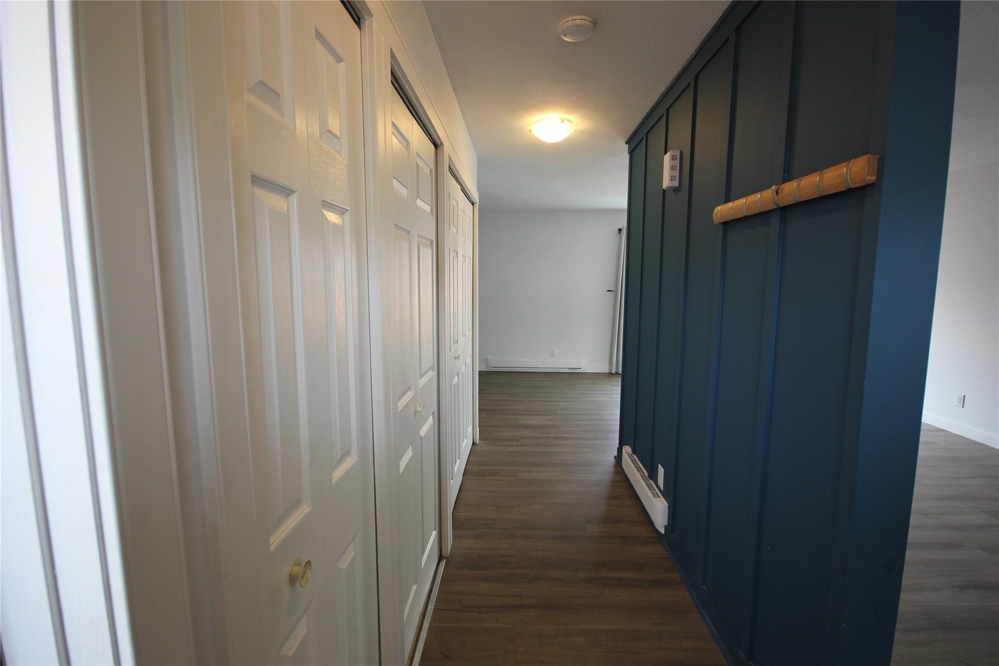 Entry hall with updated flooring and a blue feature wall in Unit 104.