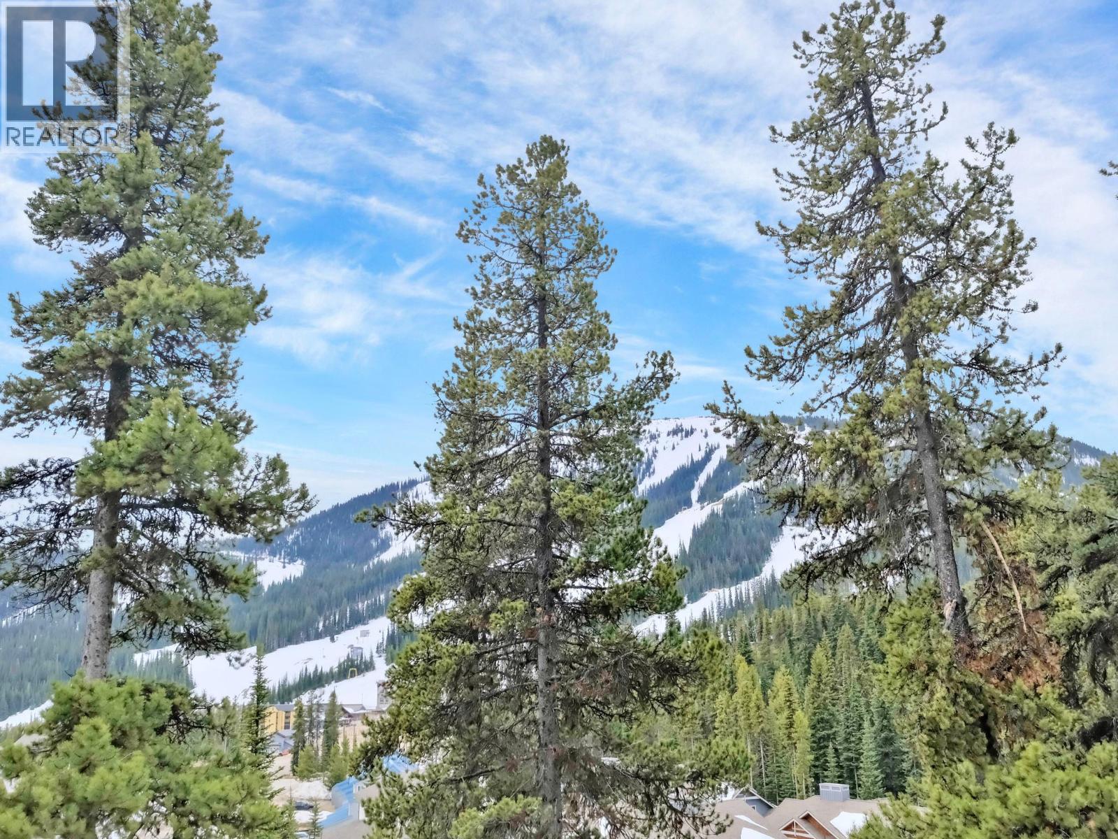225 Clearview Road Unit 903 — mountain outlook