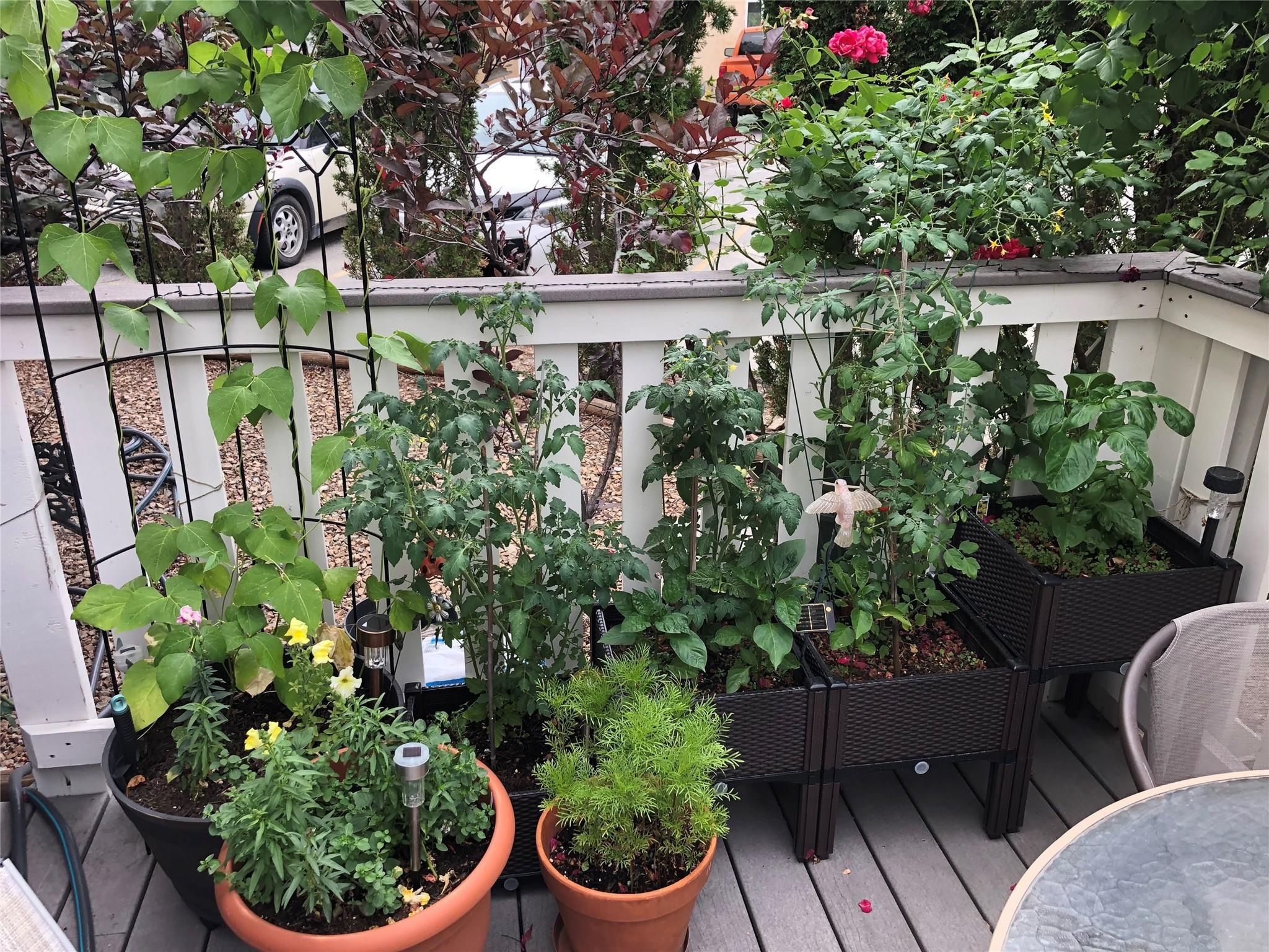 Gardened private deck at Unit 119 in Cascade Gardens.
