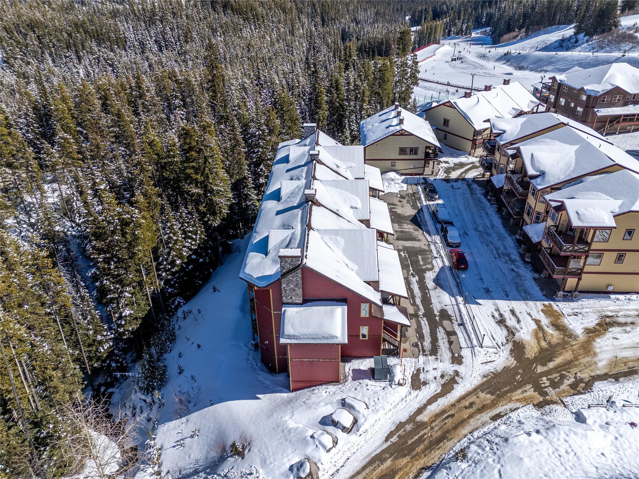 Aerial view of the Keremeos Creek complex and forest at Apex Mountain.